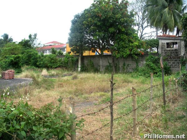 1.4 Hectares CALAMBA LOT along the ROAD! Great for car showroom,warehouse! Hot SPOT!