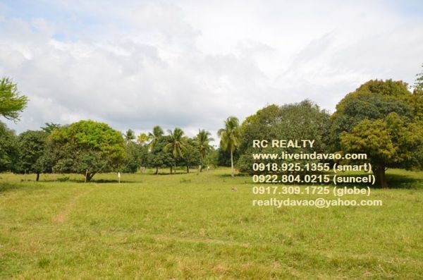 150sqm Limao Raw Lots for only P4,000/month