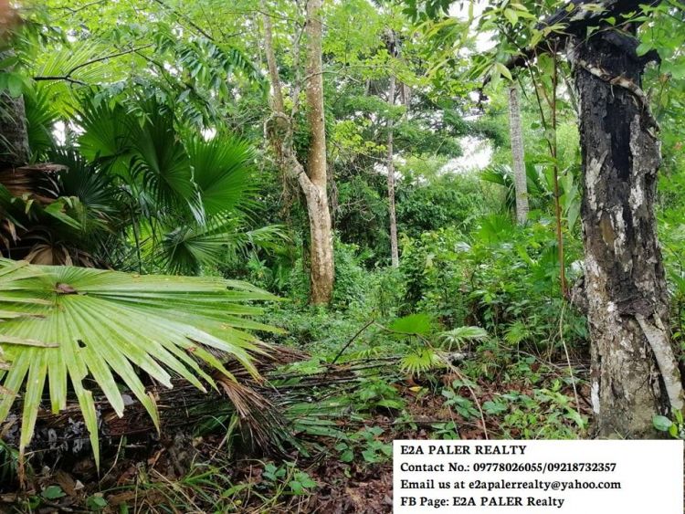 5.7hectares Agri lot for Sale
