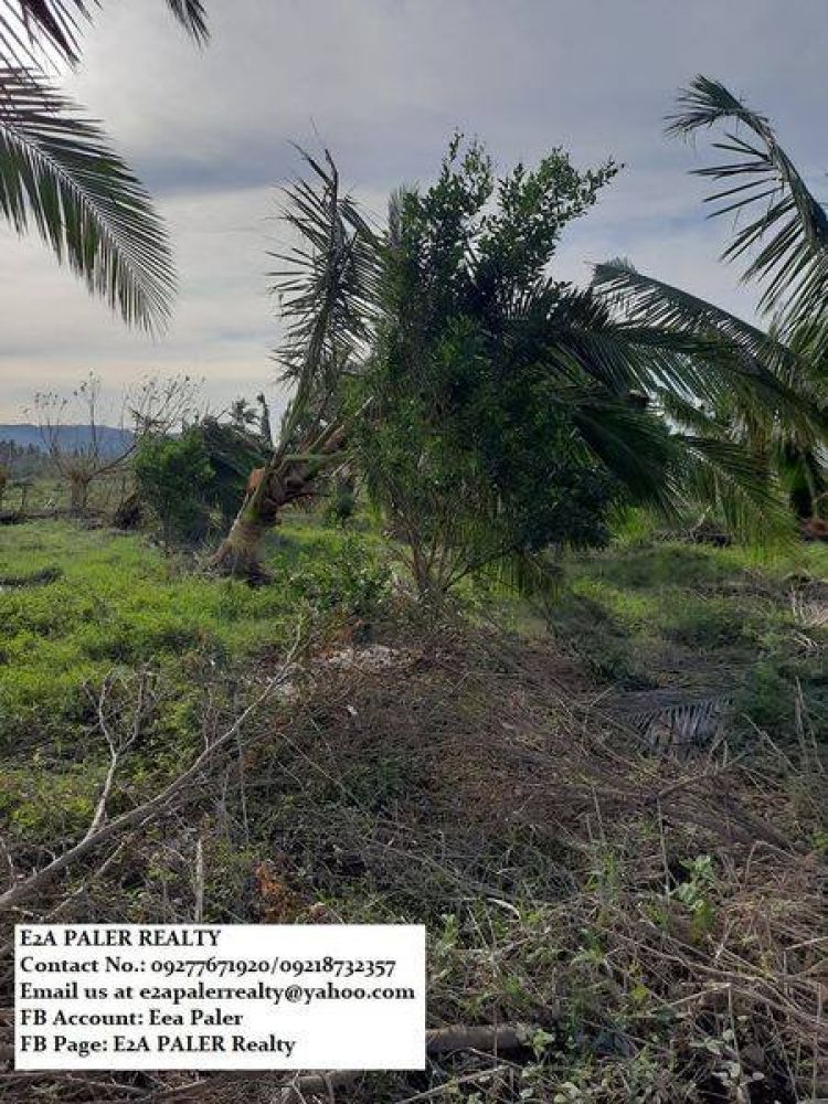 Agri Lot for Sale