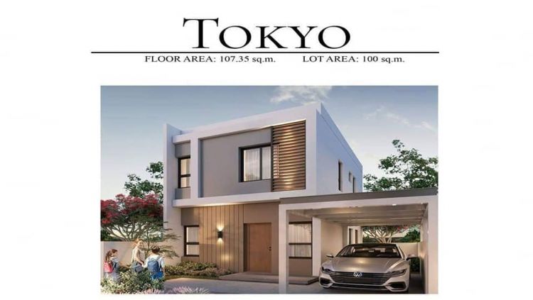 Anyana Bel-Air Tokyo Single Detached House and Lot