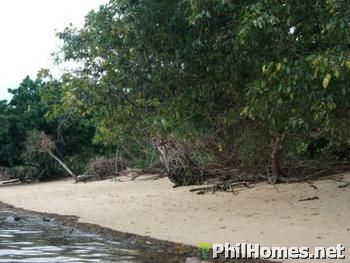 Busuanga Beach Lot
