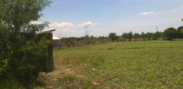 Pozzorubio Farmland